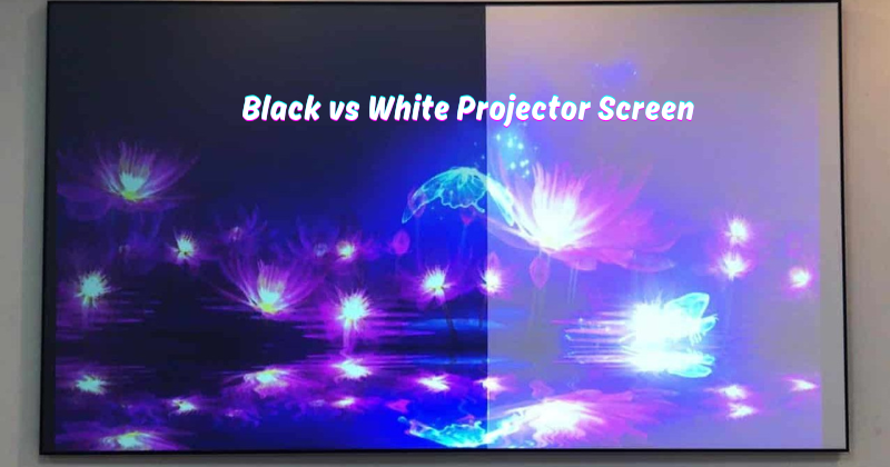 Black vs White Projector Screen