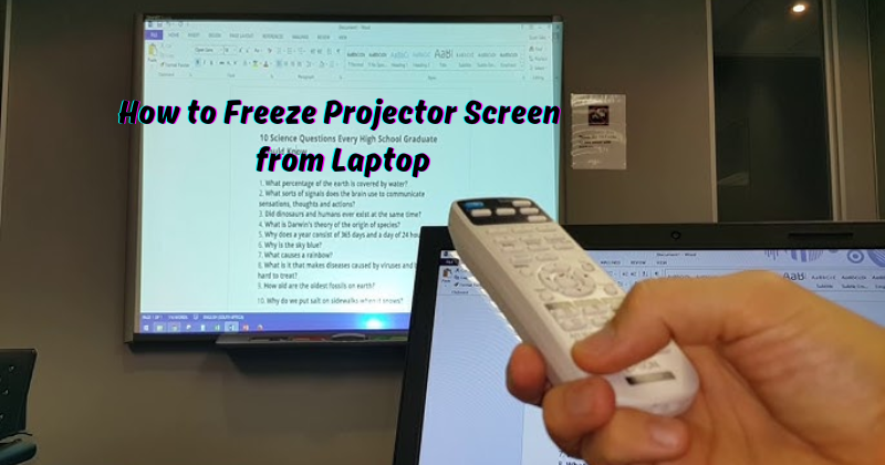 optoma projector freeze screen