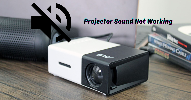 Projector Sound Not Working