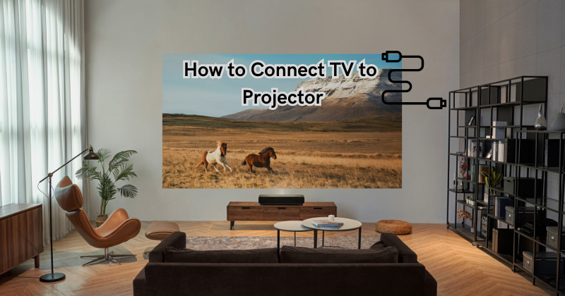 How to Connect TV to Projector