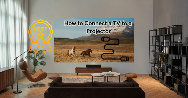 How to Connect a TV to a Projector