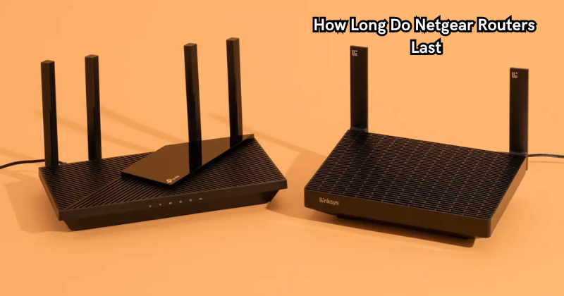 How Long Do Netgear Routers Last