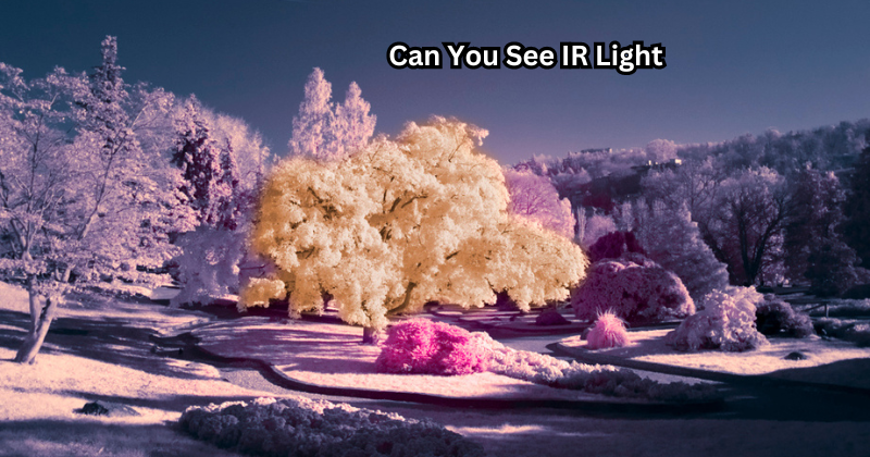 Can You See IR Light