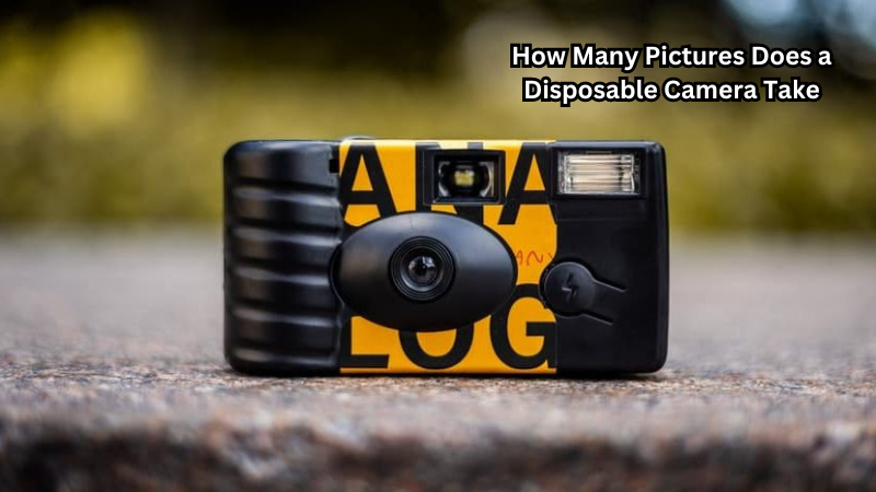 How Many Pictures Does a Disposable Camera Take