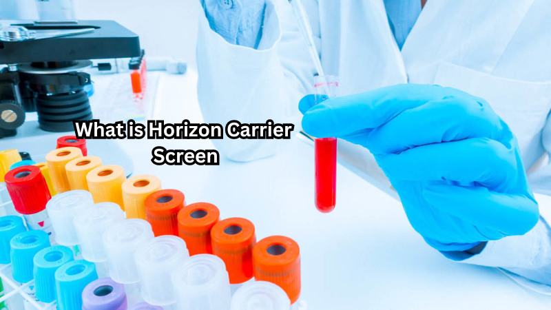 What is Horizon Carrier Screen