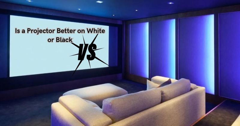 Is a Projector Better on White or Black