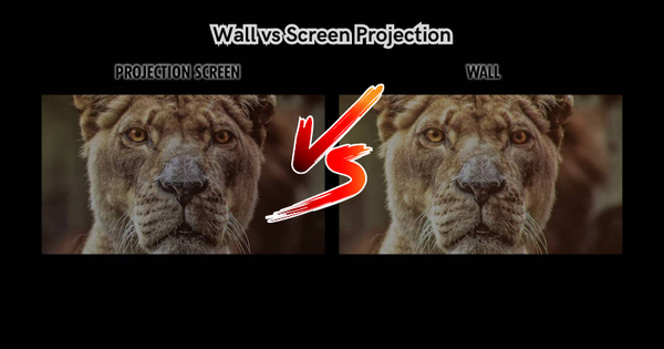 Wall vs Screen Projection