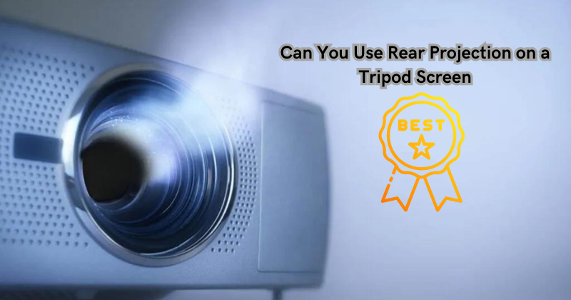 Can You Use Rear Projection on a Tripod Screen