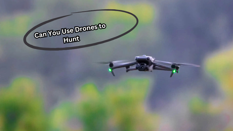 Can You Use Drones to Hunt